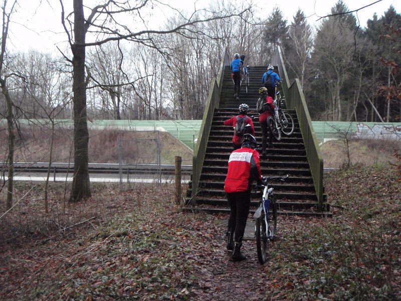 Waldtour 071